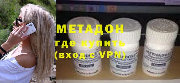 прущие грибы Сясьстрой