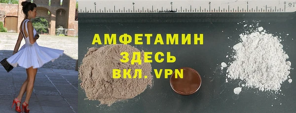 сатива Вяземский